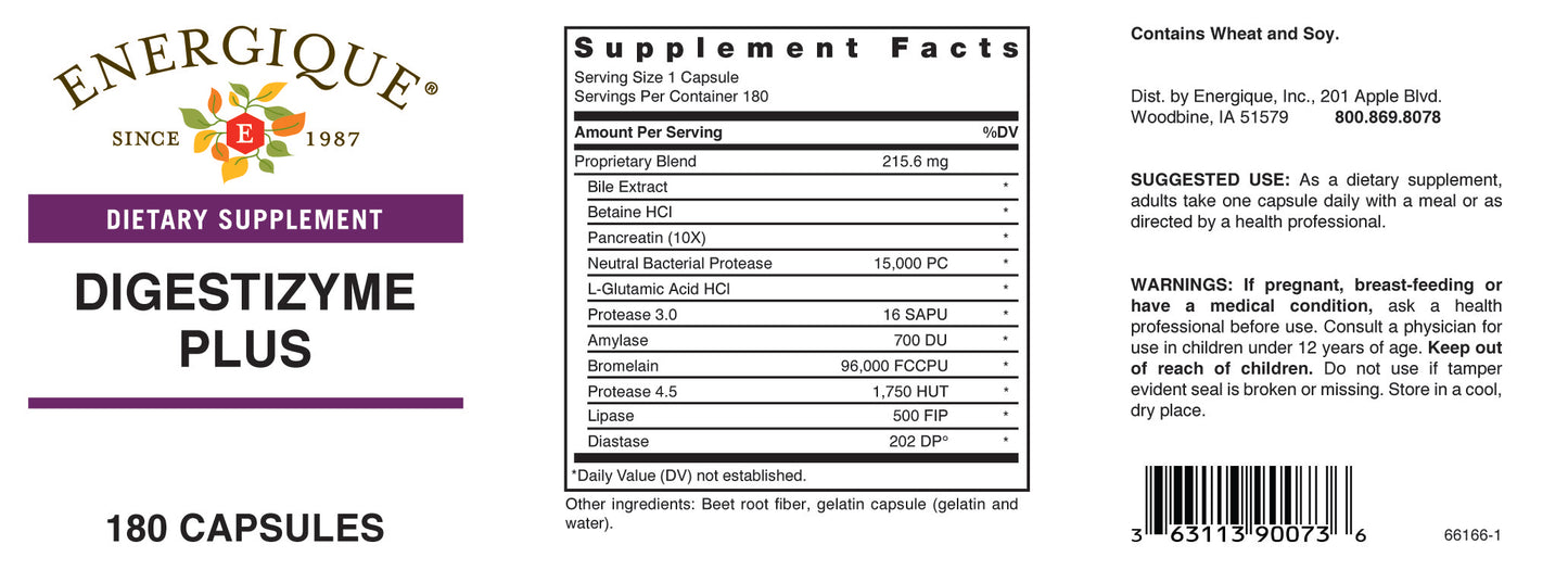 DIGESTIZYME PLUS