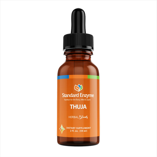 THUJA